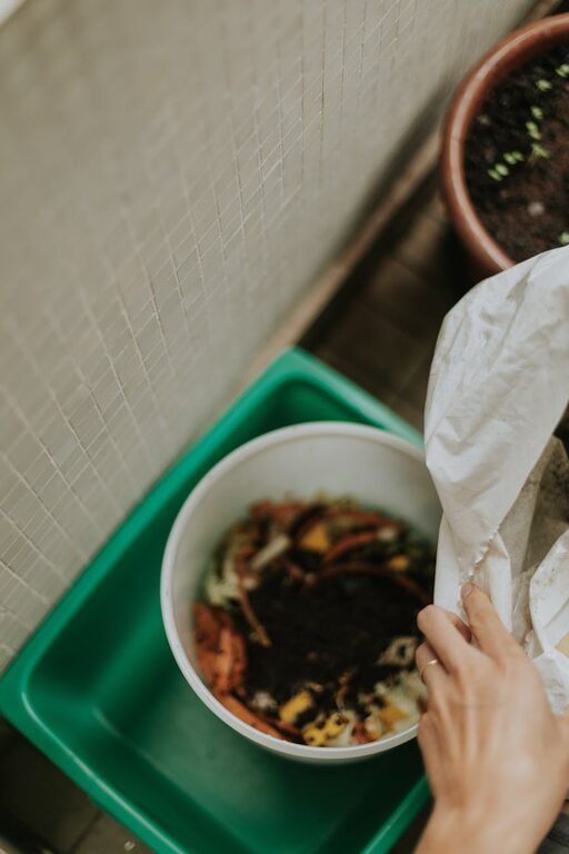 Beginner Tips for Composting at Home: A Simple Guide to Get Started